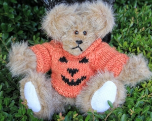 sweater bear pumpkin tangerine (640x514)
